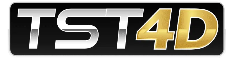 TST4D : Menimbang Makna, Proses, Dan Kebijaksanaan Dalam Bermain Game 